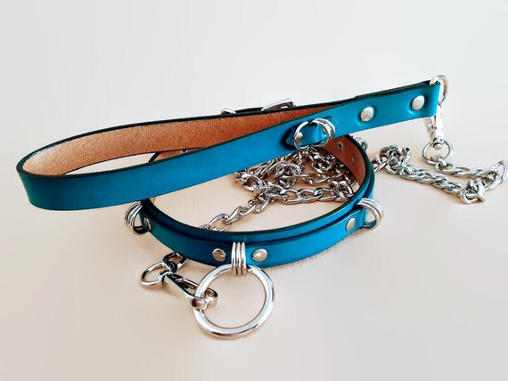 collar with chain leash