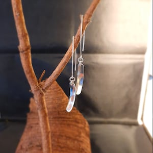 Earrings in silver