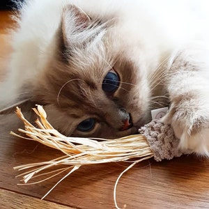 Cat toy play mouse with natural raffia, raffia valerian play cushion, cuddly cushion for cats, valerian cushion image 1