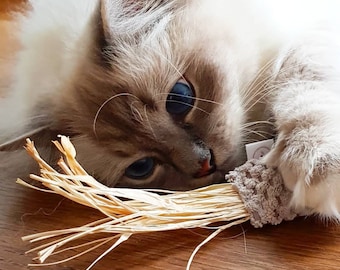 Katzenspielzeug Spielmaus mit Naturbast, Raffia (Baldrian) Spielkissen, Schmusekissen für Katzen, Baldriankissen