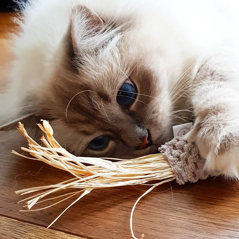 Cat toy play mouse with natural raffia, raffia valerian play cushion, cuddly cushion for cats, valerian cushion image 1
