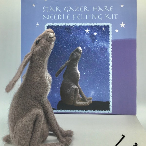 Star Gazer Hare model needle felting kit