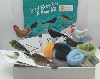 Needle felting,Bird Brooches kit, fashion, dress wear, easy crafts, wool, hobby, sewing