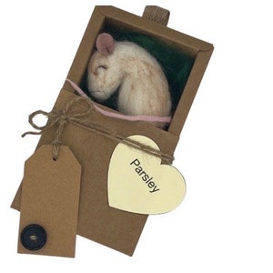 Naaldvilt Sleepy Mouse Peterselie
