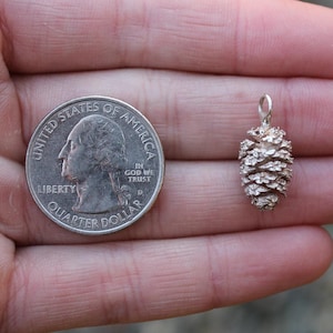 May include: A silver pine cone charm pendant, shown next to a UK 20 pence coin for size comparison.