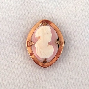 May include: A cameo pendant with a white cameo of a woman's profile set in a gold-toned frame with a pink background.