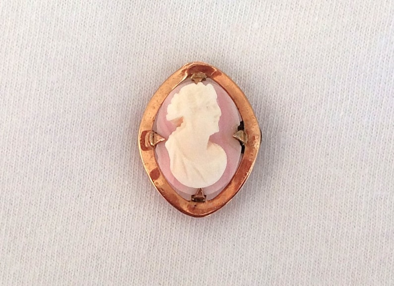 May include: A cameo pendant with a white cameo of a woman's profile set in a gold-toned frame with a pink background.