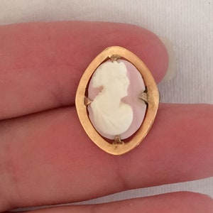 May include: A gold-toned cameo pendant featuring a white cameo of a woman's profile set against a pink background.
