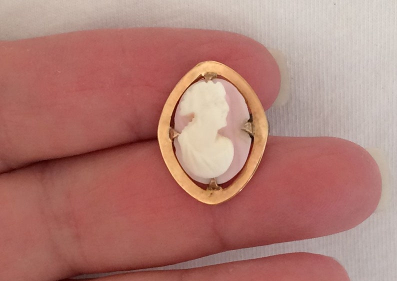 May include: A gold-toned cameo pendant featuring a white cameo of a woman's profile set against a pink background.