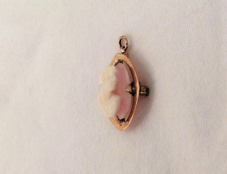 May include: A gold-toned pendant with a pink and white cameo featuring a floral design.