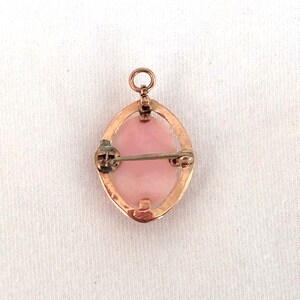 May include: A pink cameo pendant with a gold setting and a pin back. The cameo is oval shaped and has a smooth, polished surface.