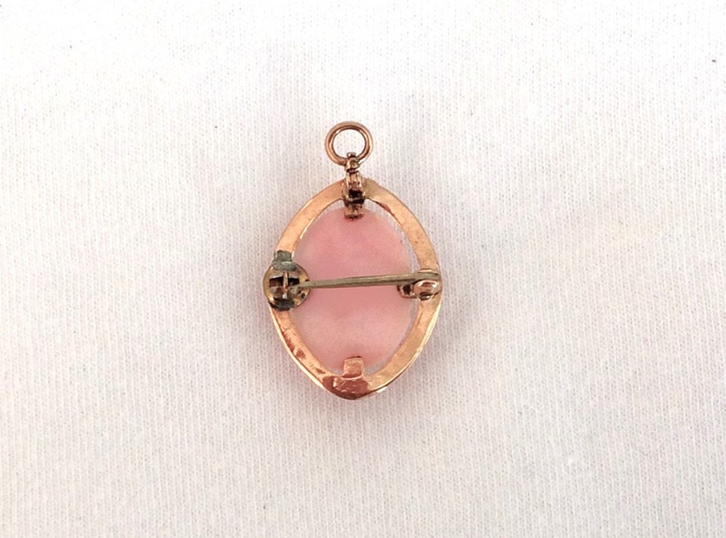 May include: A pink cameo pendant with a gold setting and a pin back. The cameo is oval shaped and has a smooth, polished surface.