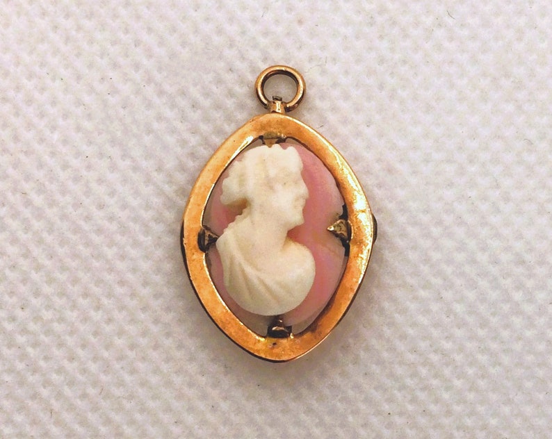 May include: A gold-toned pendant with a cameo of a woman's profile in white against a pink background.