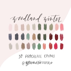 Wald Winter / Weihnachten / Urlaub / Procreate Farbpalette / Procreate Swatches