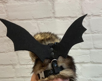 Iller Halloween-kostym: Fladdermusvingssele, Husdjurskläder