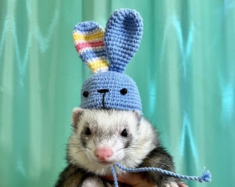 Easter bunny knitted pet hat. Easter bunny ears for ferrets. The rabbit's hat is crocheted.