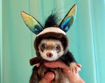 Donkey costume for ferrets, Halloween ferrets hat