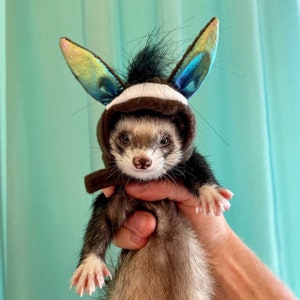 Donkey costume for ferrets, Halloween ferrets hat