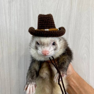 Brown Knitted cowboy hat. Halloween costume, knitted pet hat. Ferret clothes.