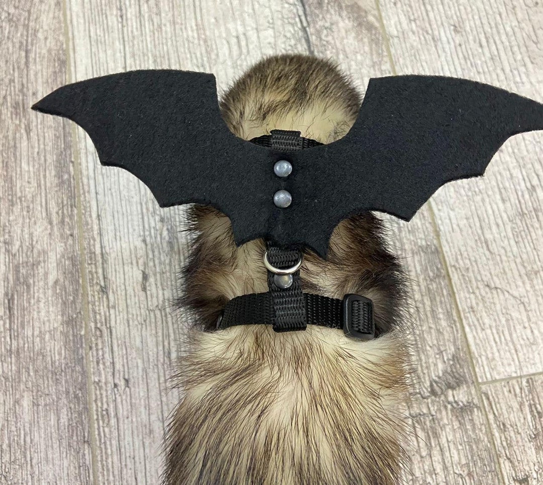 Ferret Costume Halloween Pet Clothes for Ferrets. Bat Wings. Etsy Canada