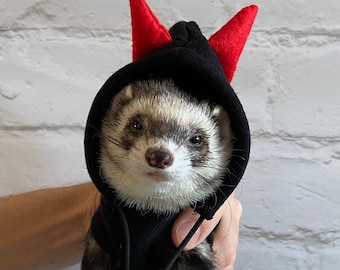 May include: A black hooded costume with red devil horns, worn by a ferret. The ferret is looking directly at the camera.