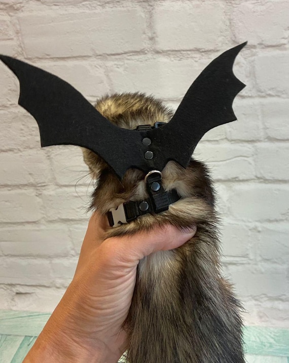 Halloween vleermuis kostuum sale