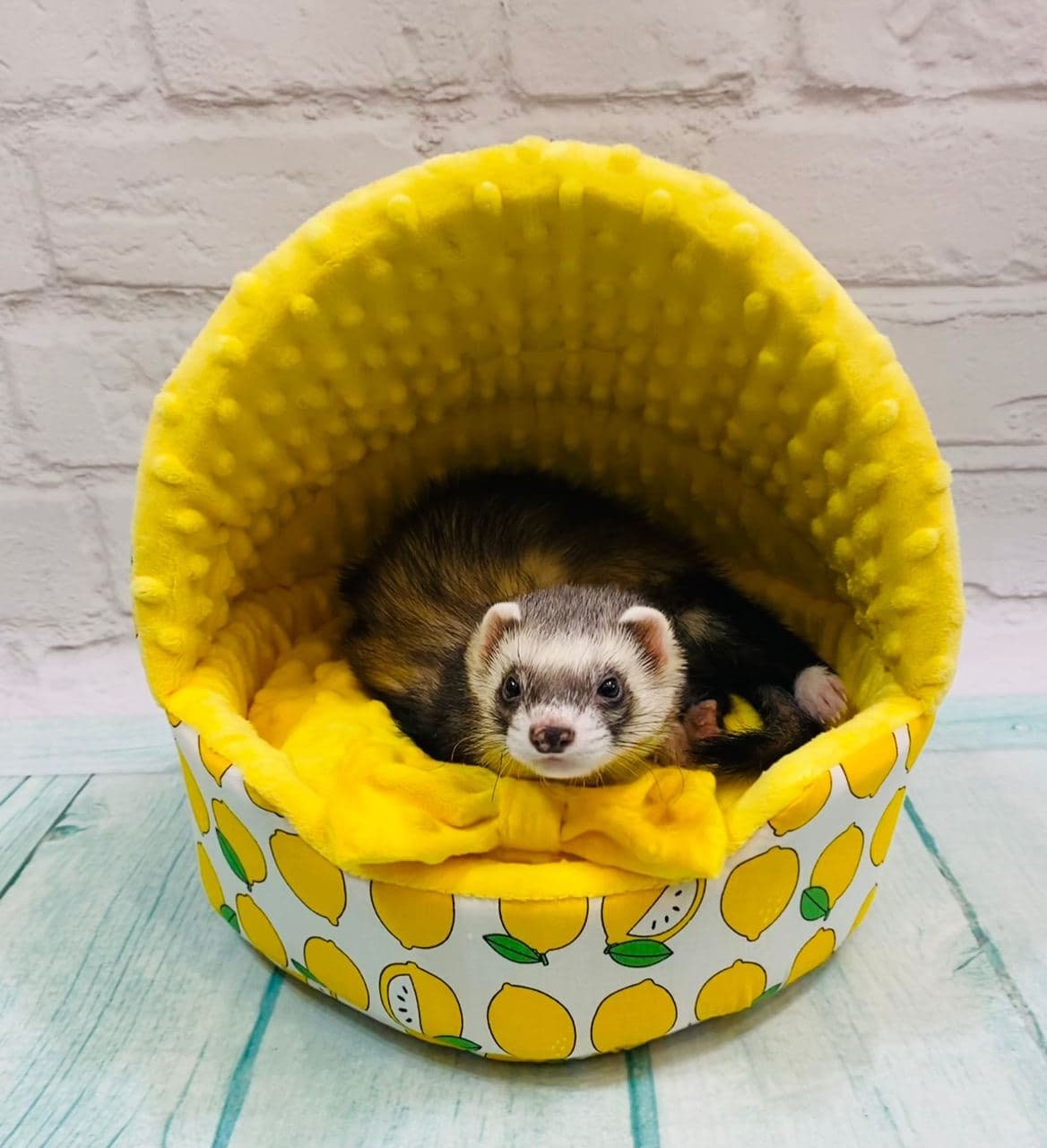 Yellow bed ferret small ferret bed pet furniture cage Etsy