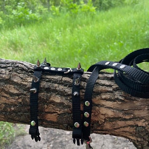 Brutal harness for male ferrets. walk with a ferret in a beautiful and comfortable harness. perfect gifts. collar ferret image 5