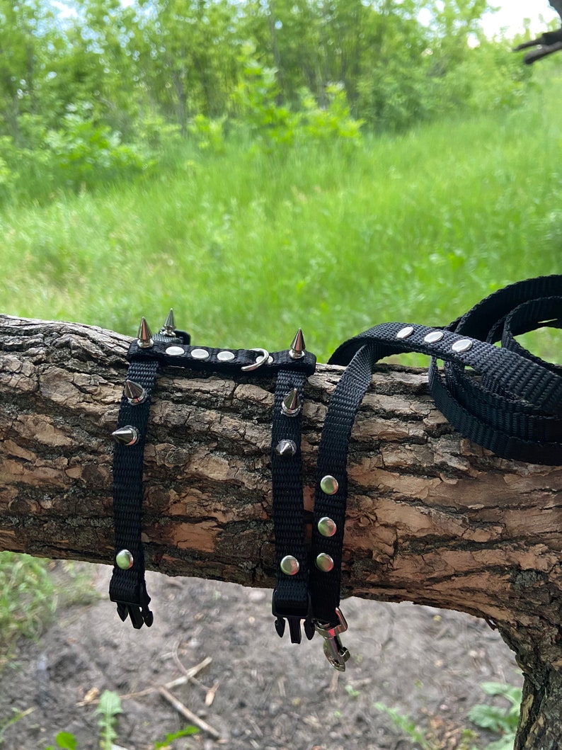 Spiksele med koppel för iller: Justerbart halsband för husdjur bild 5