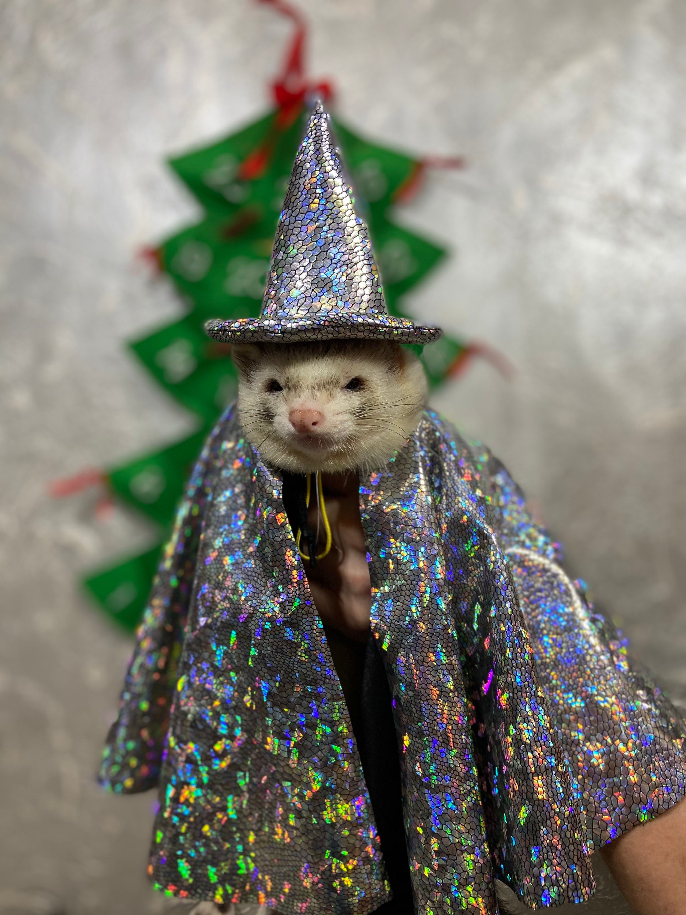 Wizard ferretсhristmas for the ferret gift for ferret owner Etsy