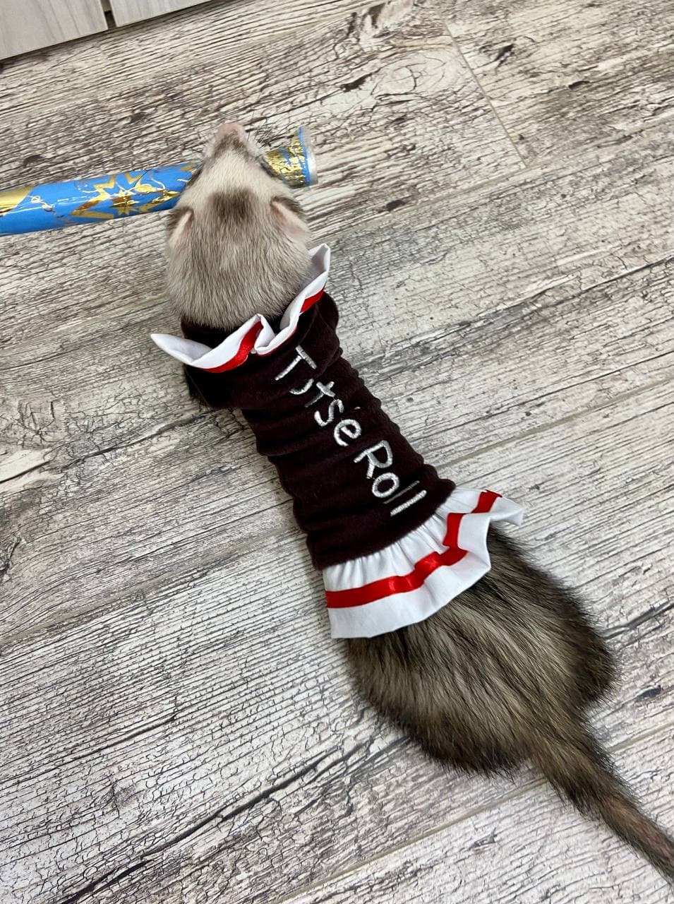 Ferret Costume Tootsie Roll Halloween ferret Clothescandy Etsy