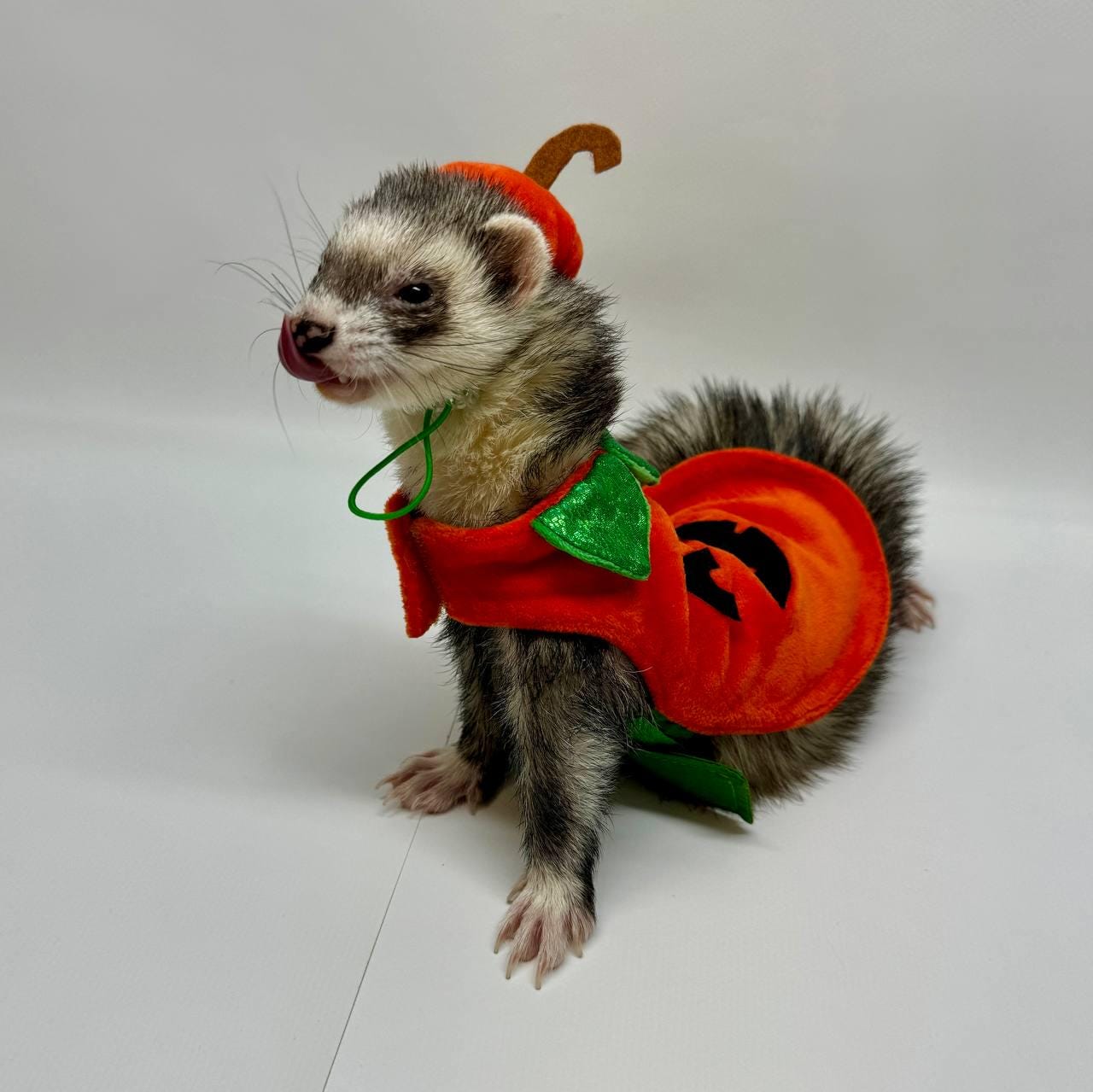 rosymonster❤️ferret knit vest Girlboss Vest – Wool and Buggers
