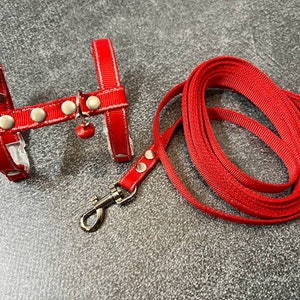 Puede incluir: Arnés rojo para mascotas con una correa roja a juego. El arnés tiene hebillas plateadas y un pequeño amuleto de campana.