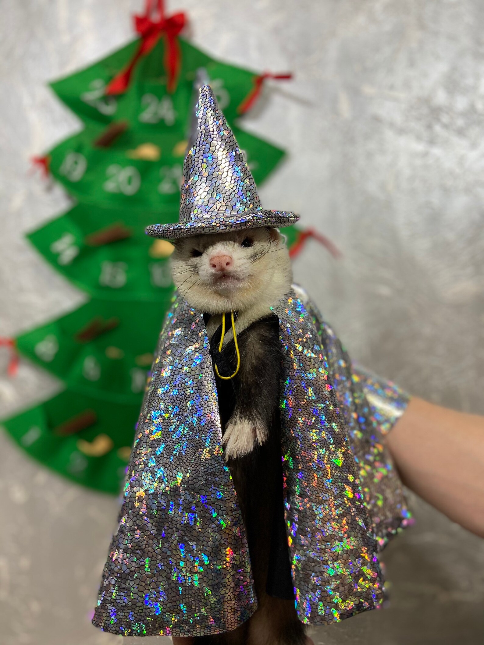 Wizard ferretсhristmas for the ferret gift for ferret owner Etsy
