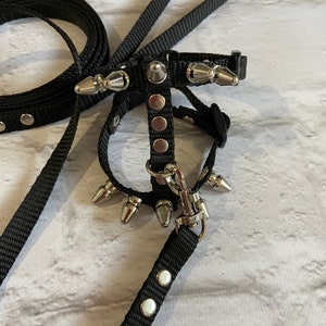 Brutal harness for male ferrets. walk with a ferret in a beautiful and comfortable harness. perfect gifts. collar ferret image 10