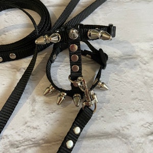 Spiksele med koppel för iller: Justerbart halsband för husdjur bild 10