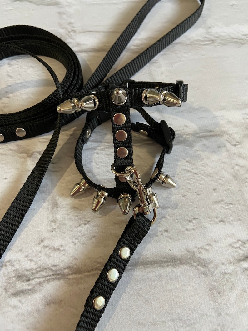 Spiksele med koppel för iller: Justerbart halsband för husdjur bild 10