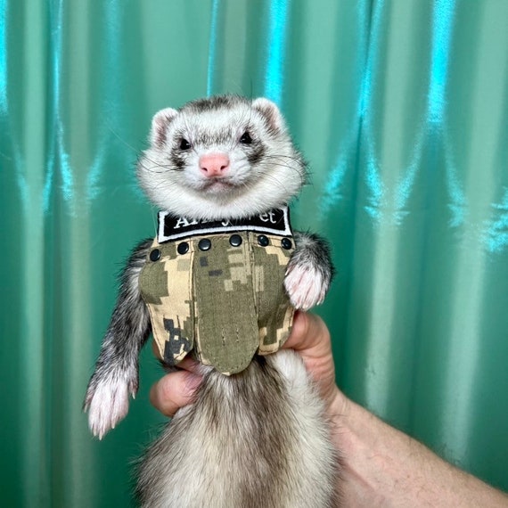 Army Vest Harness Ferrets Collar Etsy
