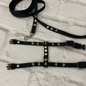 Brutal harness for male ferrets. walk with a ferret in a beautiful and comfortable harness. perfect gifts. collar ferret image 6