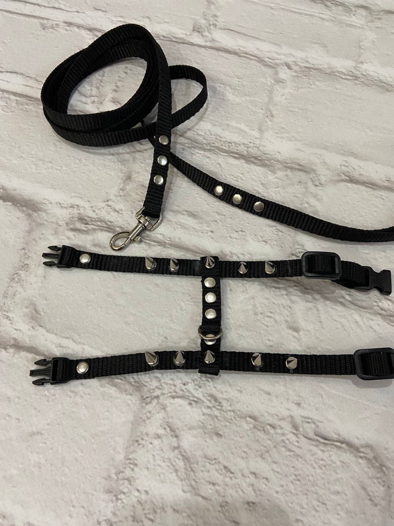 Brutal harness for male ferrets. walk with a ferret in a beautiful and comfortable harness. perfect gifts. collar ferret image 6