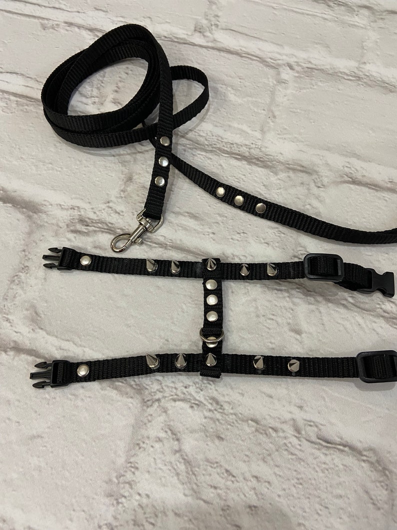 Spiksele med koppel för iller: Justerbart halsband för husdjur bild 6