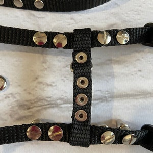 Spiksele med koppel för iller: Justerbart halsband för husdjur bild 9