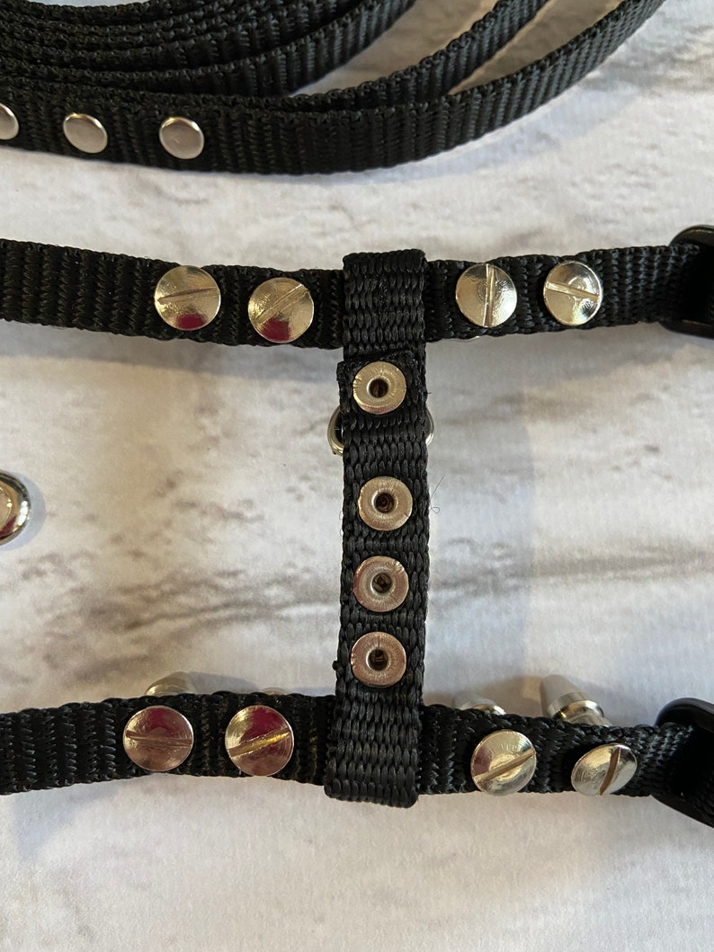 Spiksele med koppel för iller: Justerbart halsband för husdjur bild 9