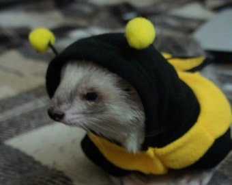 Bumblebee costume for a ferret. Ferret clothing Halloween pet carnival