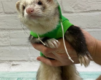 Dragon sweater for a ferret with a hood.Dragon costume for a ferret. Ferret clothing, funny costume.