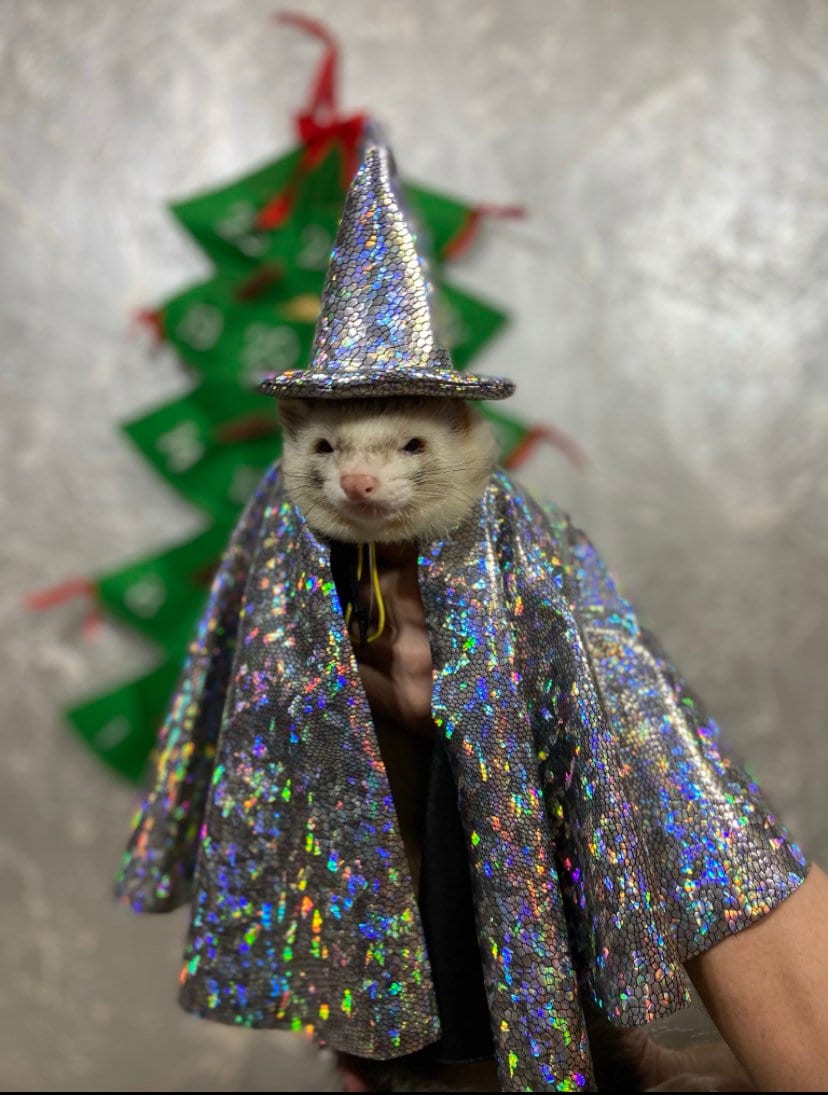 Wizard ferret,сhristmas for the ferret, gift for ferret owner, accessories for ferret wizard ferret costume,ferret hat,cute ferret costumes