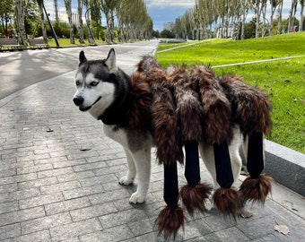 Creepy spider costume for small and large dogs, . Scary Spider Halloween, Giant mutant spider dog costume.Pet costumes.Dog clothes