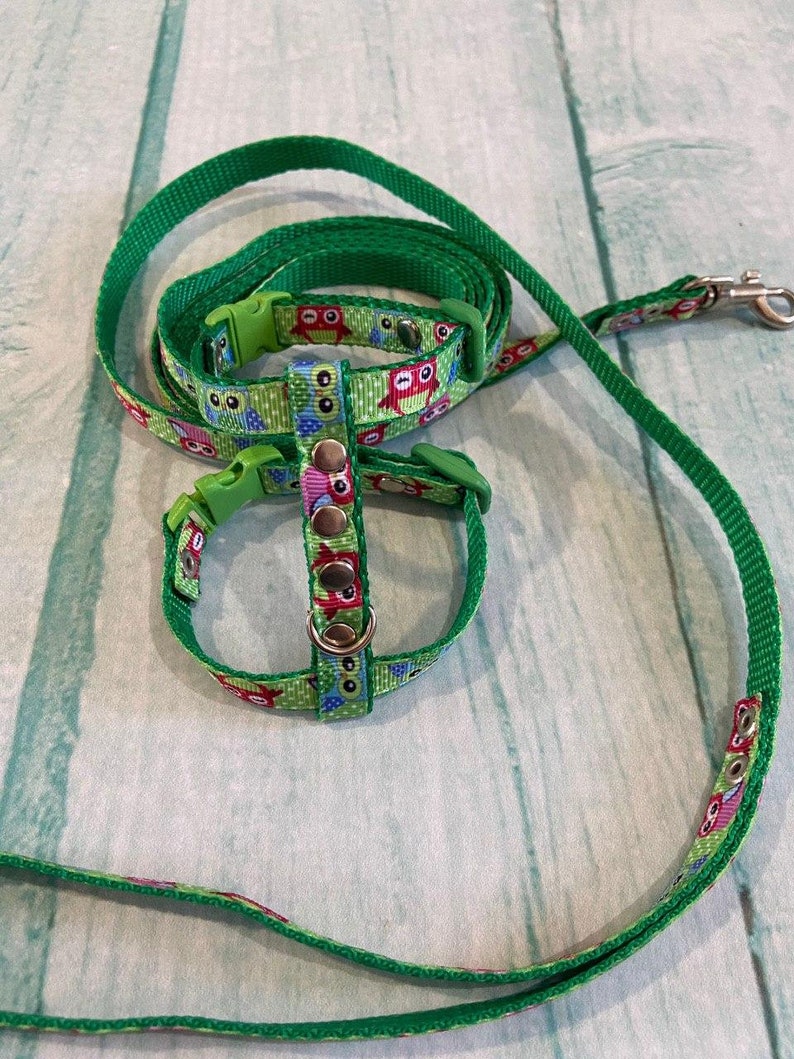 Ferret harness and lead. for walking Etsy