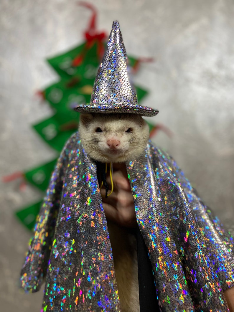 Wizard ferretсhristmas for the ferret gift for ferret owner Etsy