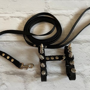 Spiksele med koppel för iller: Justerbart halsband för husdjur bild 8